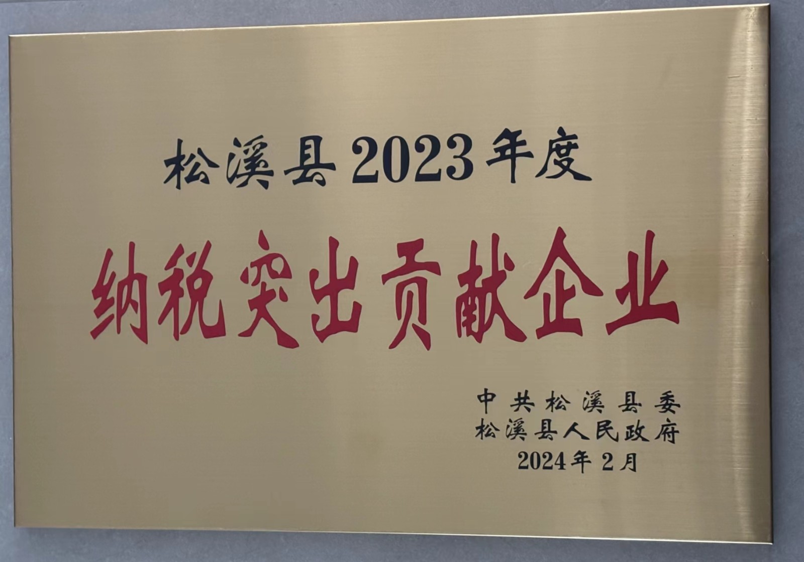 喜報！易順建工集團榮獲“松溪縣2023年度納稅突出貢獻企業(yè)”稱號